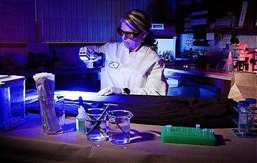 Medical Detectives - Geheimnisse der Gerichtsmedizin