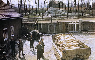 Das Kriegsende in Farbe