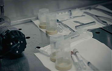 Forensik - Der Schlüssel zur Wahrheit