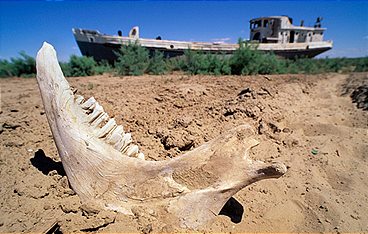 Lost Places - Mysteriöse Inseln