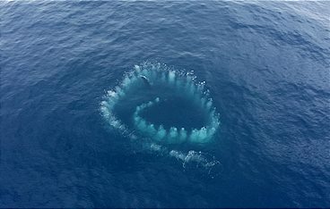 Mysteriöse Phänomene - Rätsel von oben