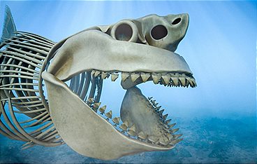 Rückkehr der Urzeit-Giganten