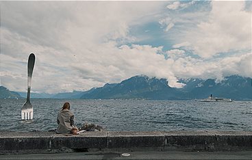 Animals - Stadt Land Tier