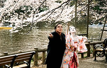 Kirschblüten - Hanami