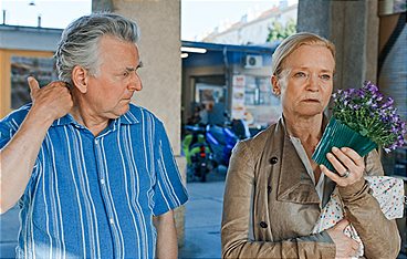 Die Fälle der Gerti B.