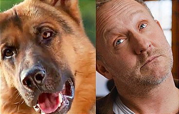 Fernsehgeschichte(n) Kommissar Rex