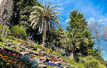 Das Paradies in der Ferne