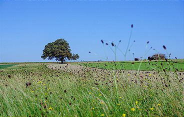 Reisezeit - Zurück zur Natur
