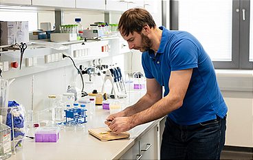 Das Geschäft mit den Schmerzen