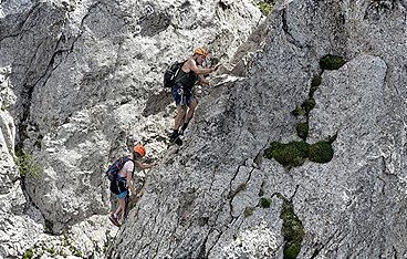 Heimat Österreich