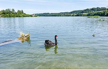 Landleben