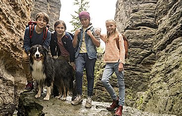 Fünf Freunde und das Tal der Dinosaurier