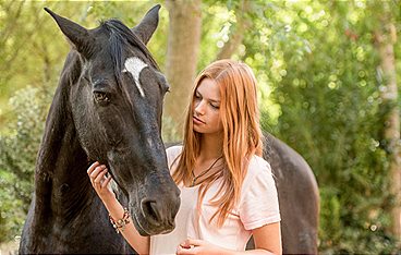 Ostwind 3 - Aufbruch nach Ora