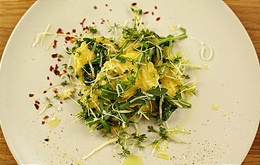 Schmatzo