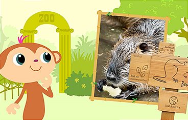 StoryZoo Abenteuer