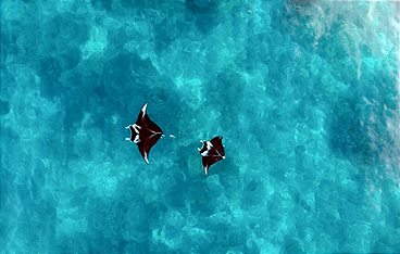 Afrika - Kontinent der Vielfalt