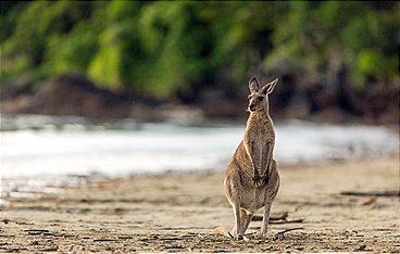 Australiens wilde Küsten