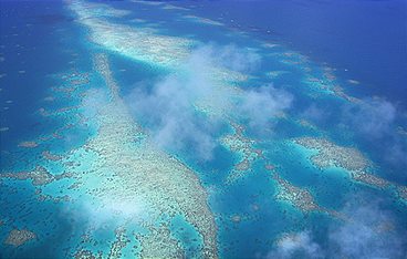 Baumeister der Wildnis