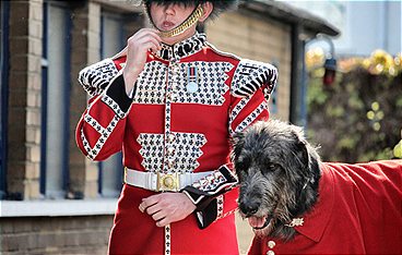 Die geheime Welt der Hunde