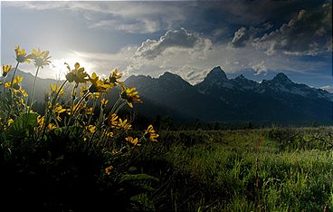 Die Rockies