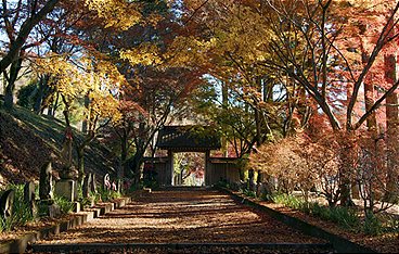 Japan im Licht der Jahreszeiten