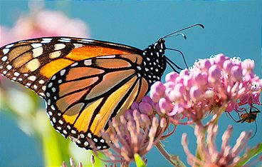 Magie der Jahreszeiten