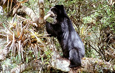 Naturparadiese am Äquator
