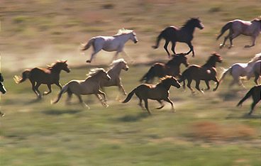 South Dakota von oben