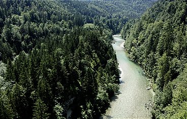 Österreichs schockierendste Verbrechen