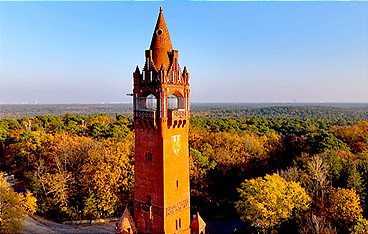 Der Grunewald - Ein Jahr unter Bäumen