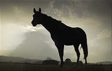 Der Sturm