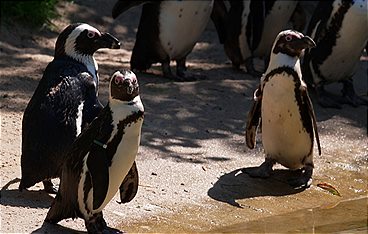Die 30 schönsten Geschichten aus dem Berliner Tierpark