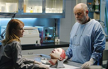 CSI: Den Tätern auf der Spur