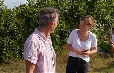 Home Greek Home - Zuhause auf Griechisch