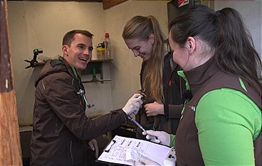 Die Tier-Docs! Pfotenhelden mit Herz