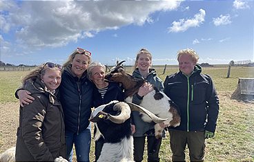 Die Tier-Docs! Pfotenhelden mit Herz