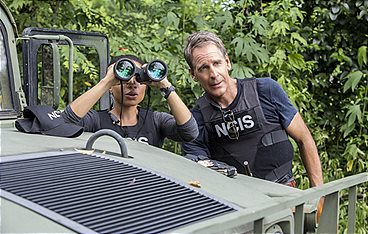 Navy CIS: New Orleans