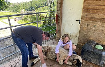 Praxis Dr. Dreesen - Ein Hof für Tiere