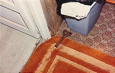 Unexpected Killer - Die Mörder von nebenan