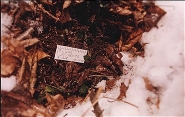 Unfall, Selbstmord oder Mord?