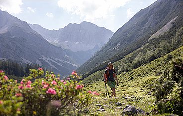 Bergwelten
