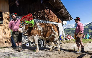 Heimatleuchten