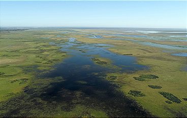 Terra Mater - Doñana: Spaniens Garten Eden