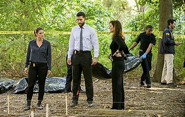FBI: Special Crime Unit