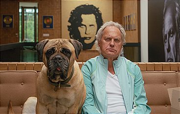 Die Ironie des Lebens