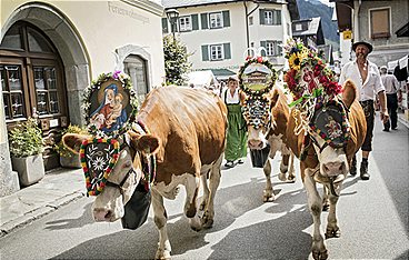 Bauernherbst im Salzburger Land