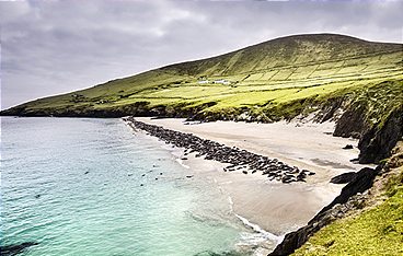 Wildes Irland - Die grüne Insel