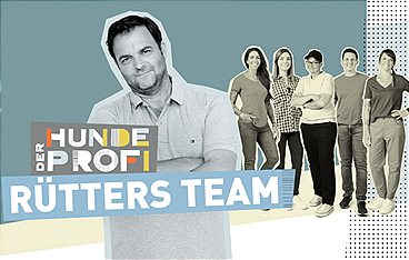 Der Hundeprofi - Rütters Team