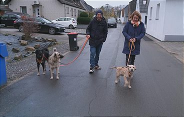 Die Welpen kommen - Mit Martin Rütter
