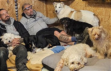 Harte Hunde - Die Urlaubsvertretung